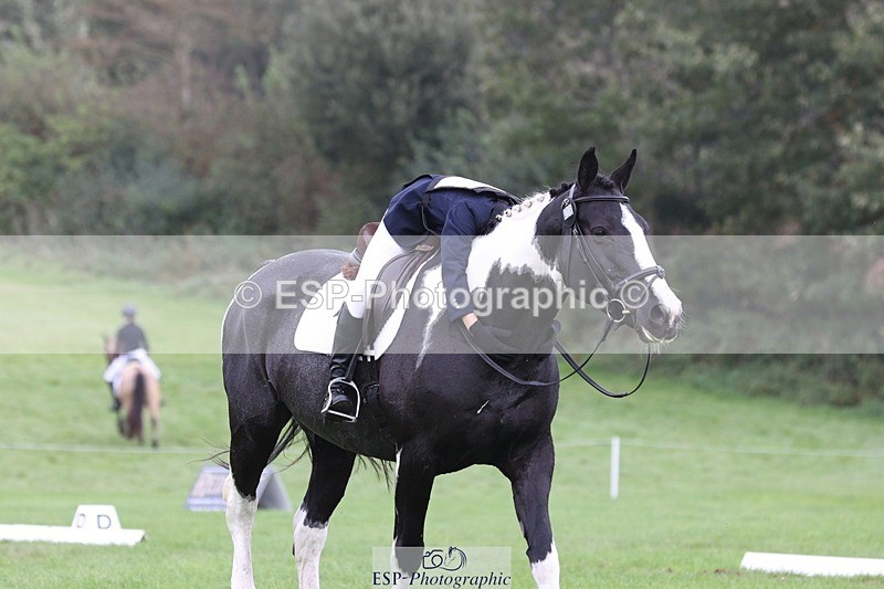 231019-135737-03833 - 438-KILCORBAN.MY.FAIR.LADY-Natasha.Crapper-DR