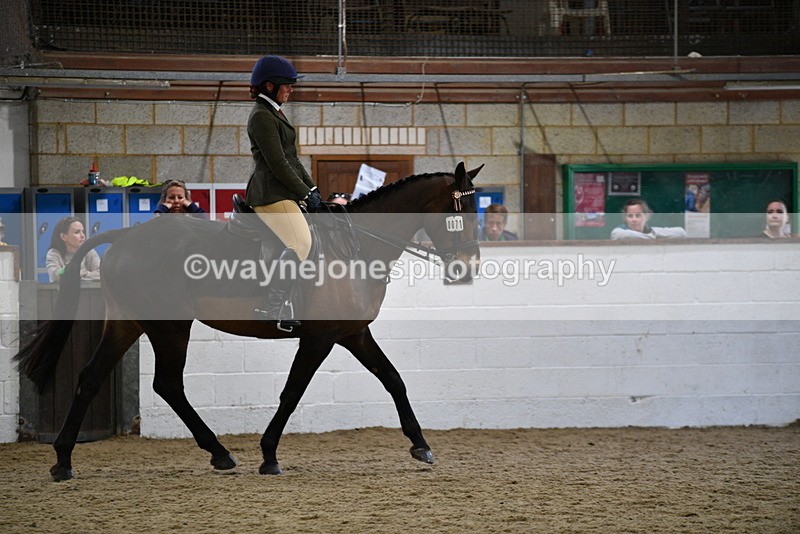 WJ5_7977 - Class 13 Ridden Part Breed
