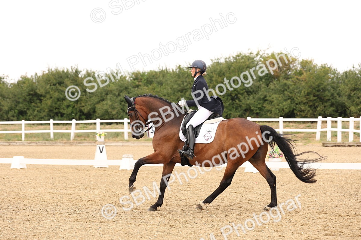 SBM_006376