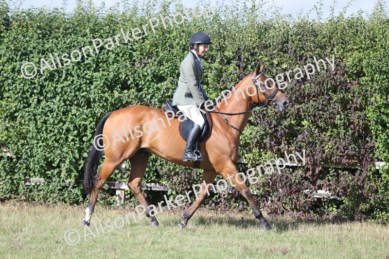 20250831-0955 - Class 14 - Ex Racehorse