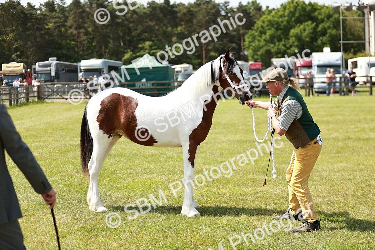 SBM_04181 - Class 39-40 - BSPA Coloured In Hand