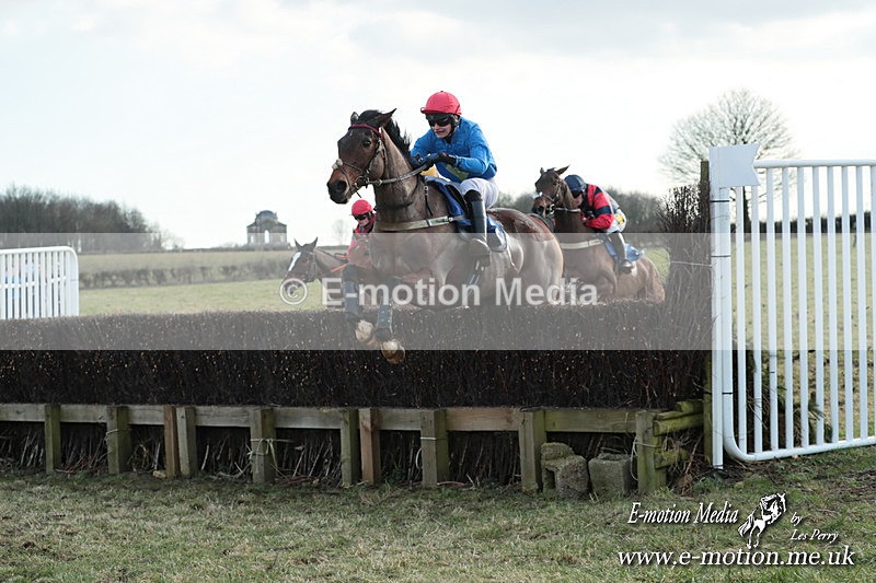 PtP 010325 769 - Beaufort Races Didmarton 01/03/25