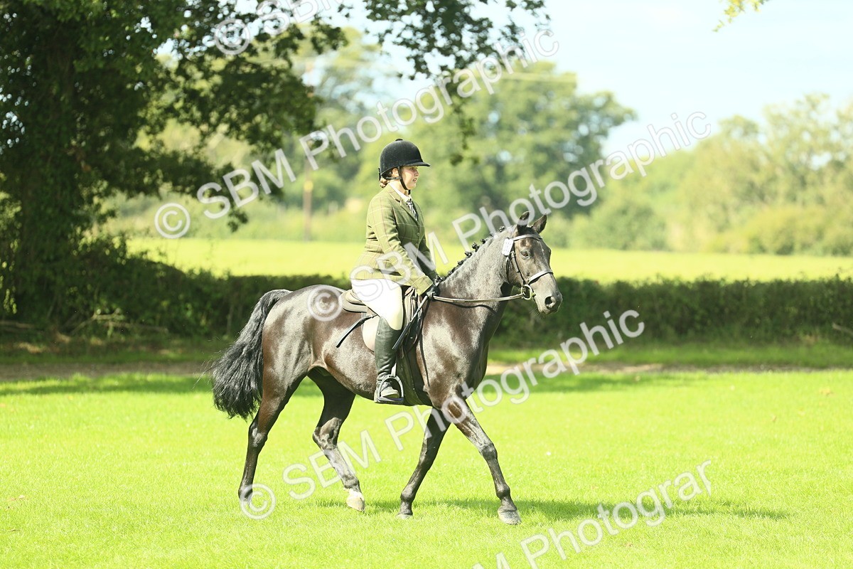 SBM_42054 - S29 - Novice & Newcomers Working Hunter Pony