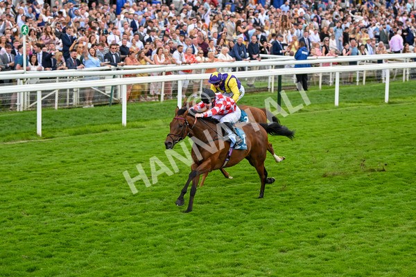 270724-Race 6-Ziggy-7524 - Race 6 5.10pm Sky Bet, For The Fans Handicap