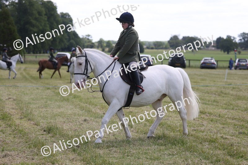 20260614-0779 - Class 20 - Beginners Working Hunter Pony