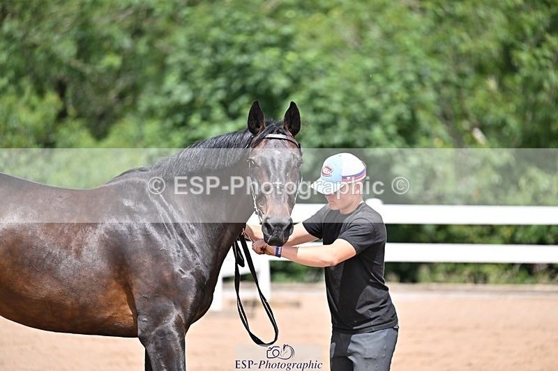 250716-125101-00200 - Trot Up 12.30 to 1.30