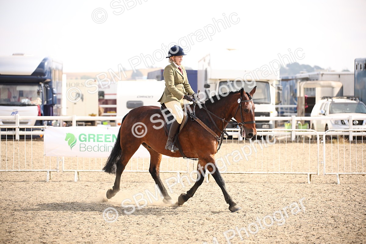 SBM_14360 - Class 407b - Working Veteran 60cm (20+)