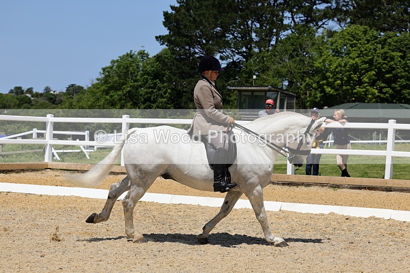 1X9A1740 - Class 11: Ridden Cob