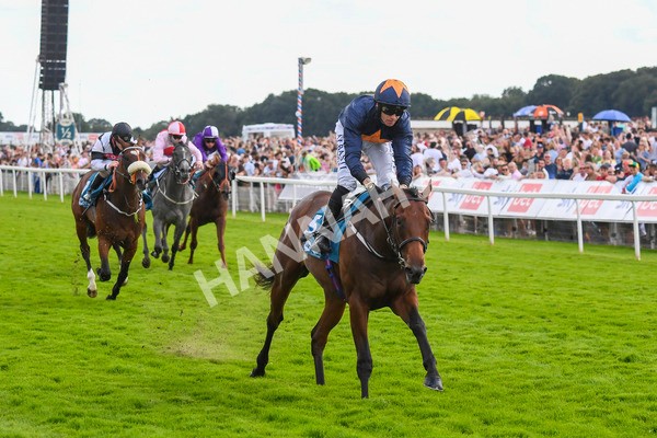290723-Race 4-Blue Prince-0694 - Race 4 4.00pm 50K ITV7 Weekly Jackpot Nursery Handicap
