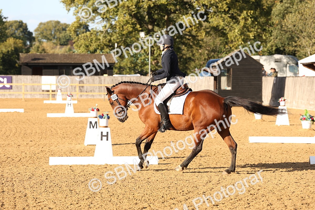 SBM_52754 - D12 - Small Tour Championship prelim 2