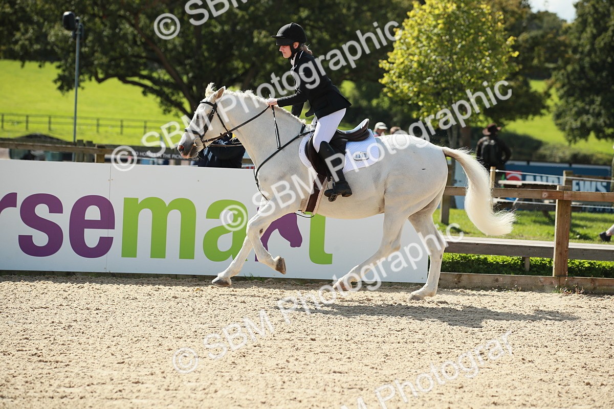 SBM_25463 - J28 Senior 60cm Championship