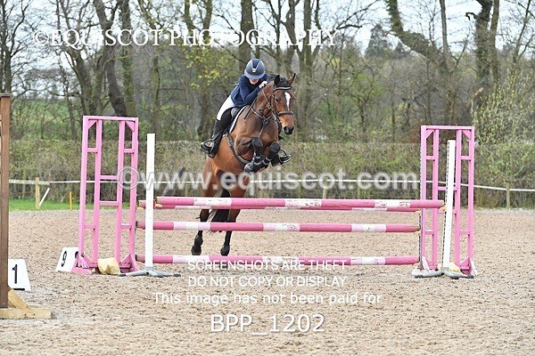 BPP_1202 - CLASS 4 Senior British Novice/ 90cm Open