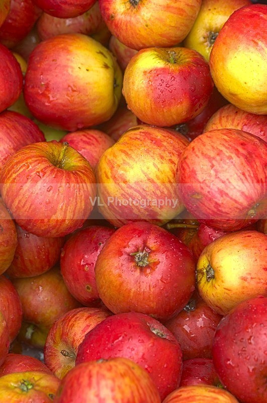 Apples - Other