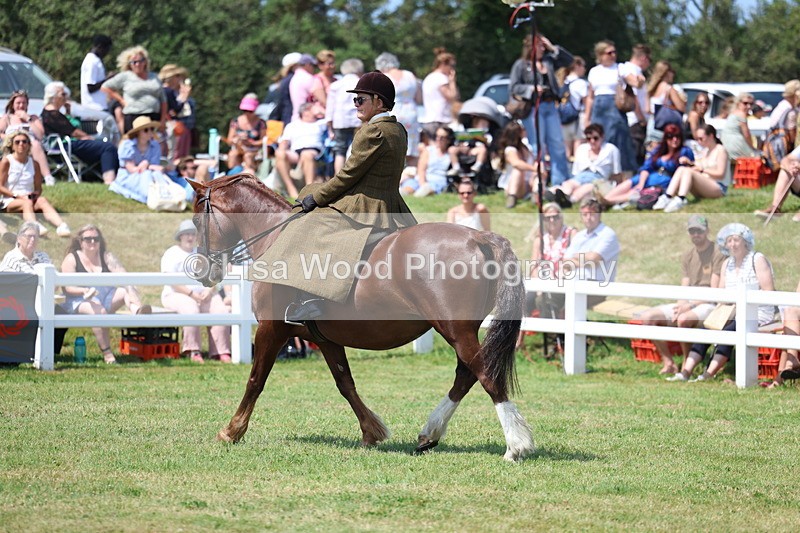 3E7A9711 - Class 13: Side Saddle