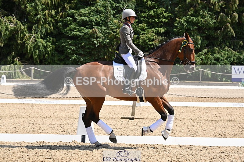 250810A-132634-06625 - Medium SILVER Presentations