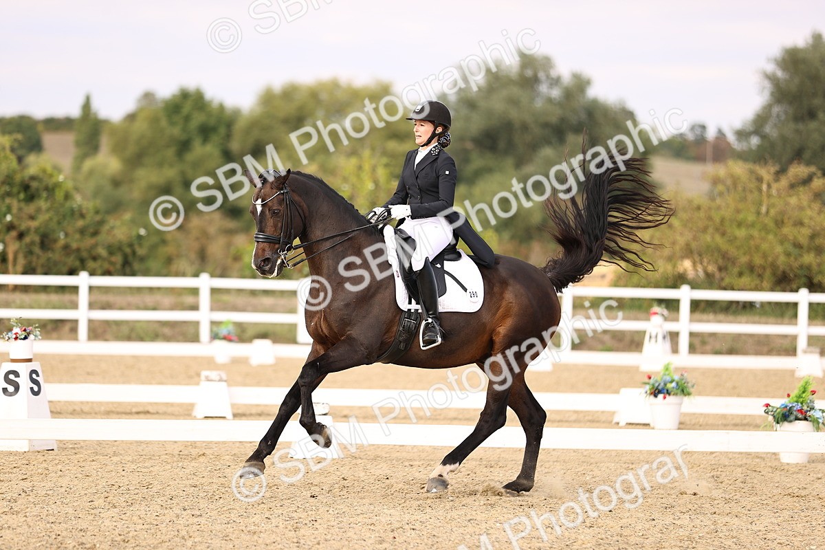 SBM_015564 - Class 11 - FEI PSG