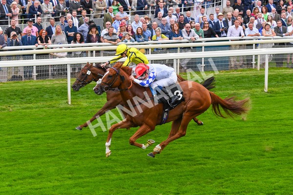 230823-Race 6-Designer-0804 - Race 6 4.45pm IRE Incentive, It Pays To Buy Irish Fillies' Handicap