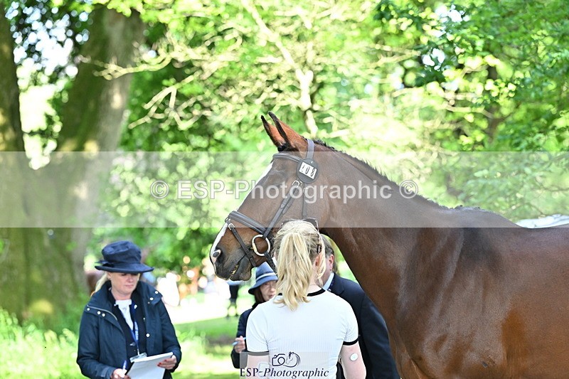 250521A-161057-00967 - C-208-Georgie.Frow-MBF.OLD.MEL