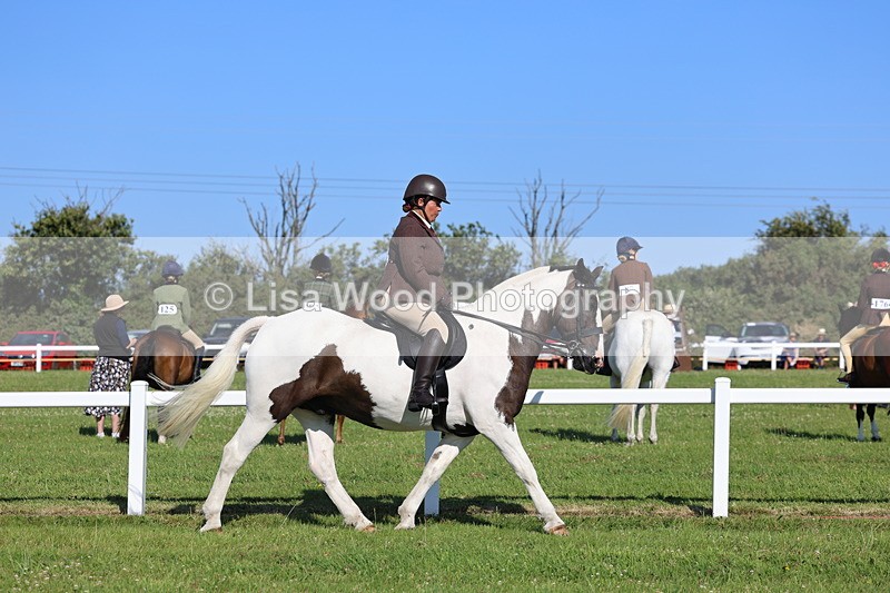 IMG_1466 - Class 30: Ridden Native/Trad Coloured Pony