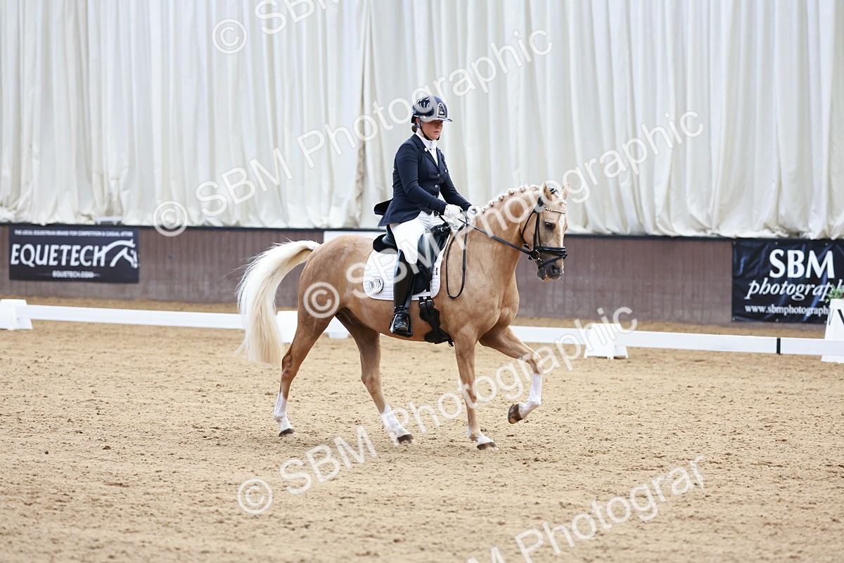SBM_017294 - Class15 - FEI Pony