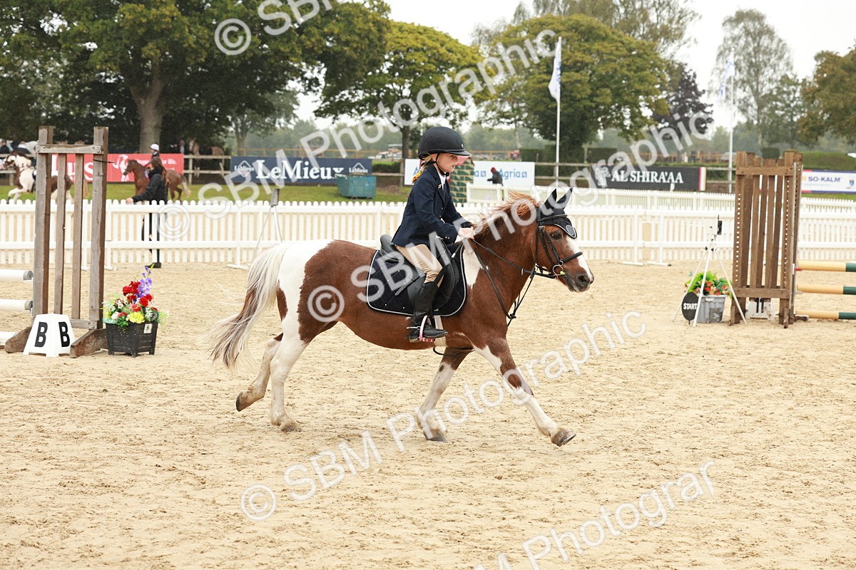 SBM_71069 - J14 - Junior Pony 65cm Championship