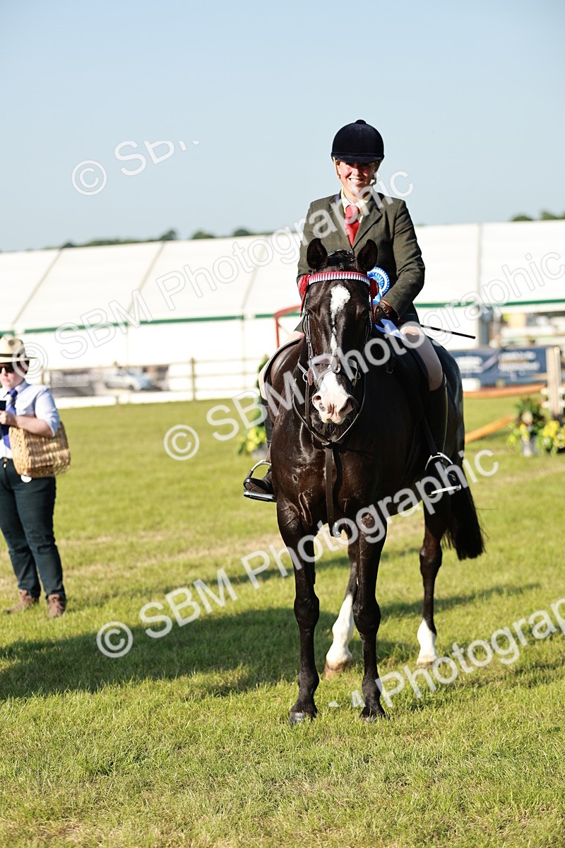 SBM_20133 - Class 115-116 - LIHS BSHA Rising Star Working Hunter & Show Horse