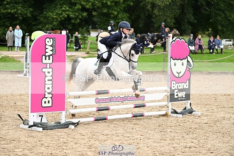 240929-103723-00335 - Cls 1 70-75cm