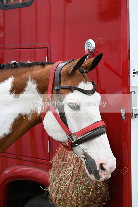 WJ7_2754 - Remy Maisel