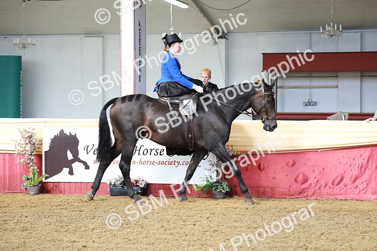 SBM_13528 - Class 105 - Ridden Costume - Side Saddle