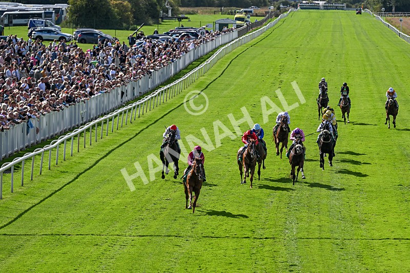 050926-Race 3-Dontlookanyfurther-3477 - Race 3 2.40pm British Stallion Studs EBF Restricted Novice Stakes