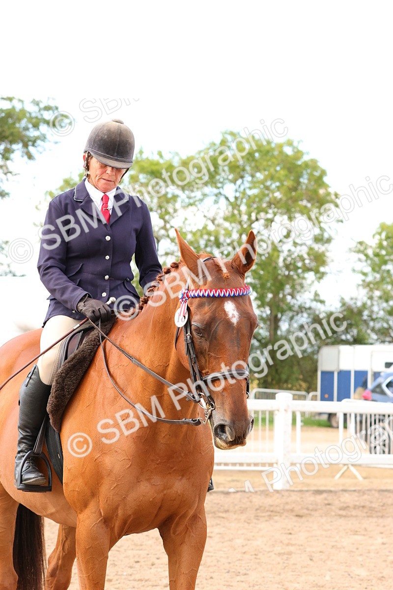 SBM_16264 - Class 217 - Ridden Retired Racehorse