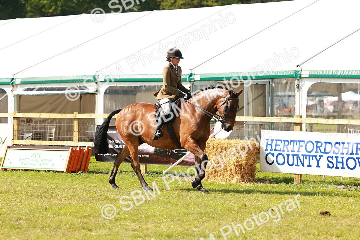 SBM_12035 - Class 66-69 - RIHS Ridden Hunters Inc Small Hunter
