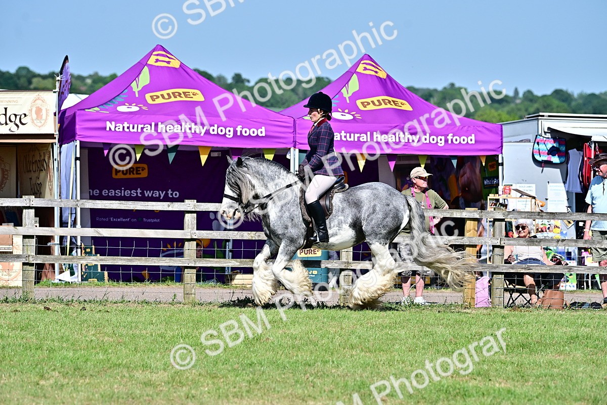 SBM_19372 - Class 101-102 - BSPS LIHS Performance Coloured Horse/Pony