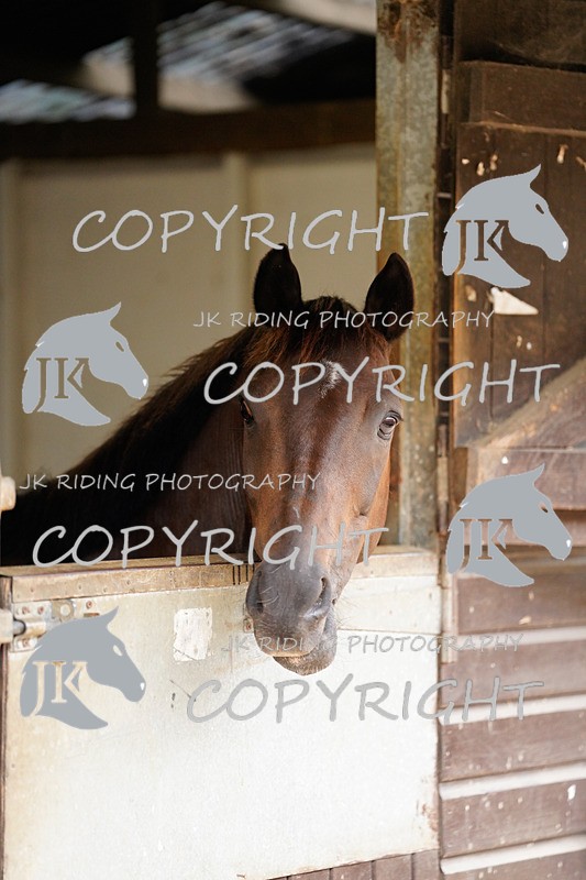 _DSC4068 - General Photos of the week!