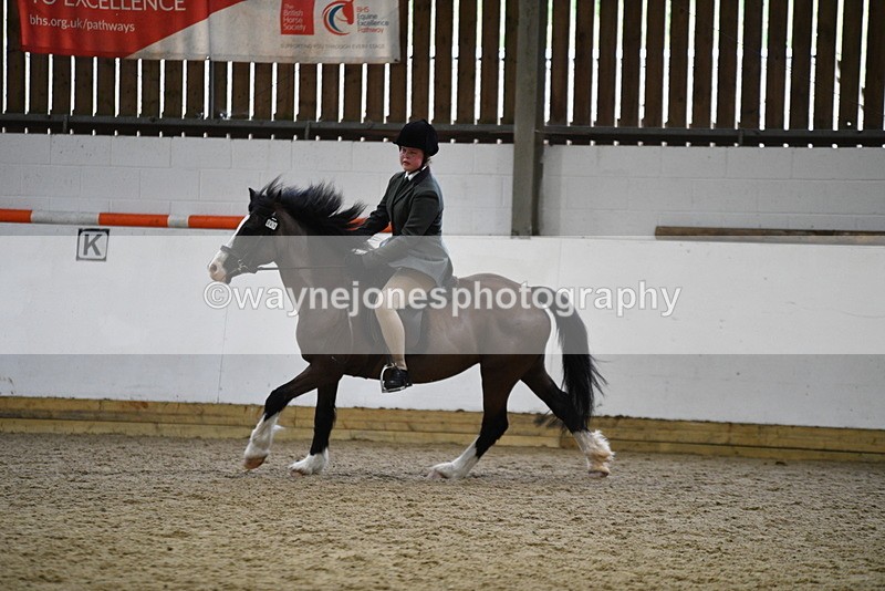 WJ5_7233 - Class 11 Ridden PC - RC Pony