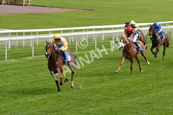 yr12052021r5-12 - Race 5 3.40pm Sky Bet Stakes
