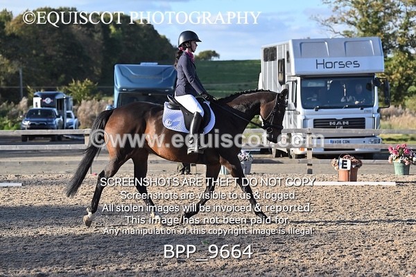 BPP_9664 - SHORT ARENA