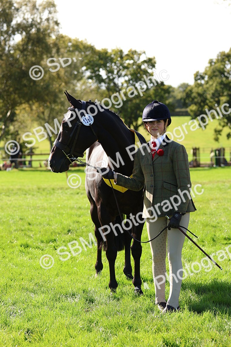 SBM_37425 - Fun Showing Supreme Championship