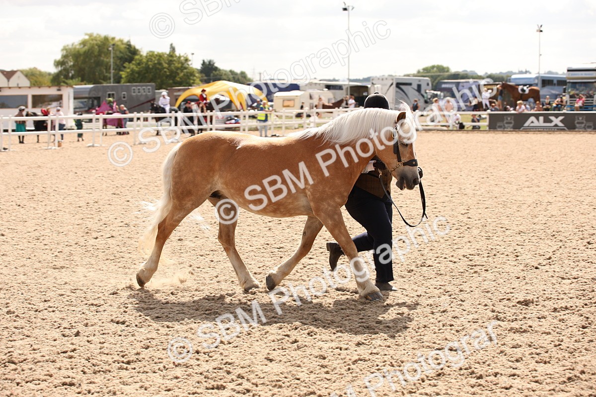 SBM_04607 - Class 20 IH Veteran