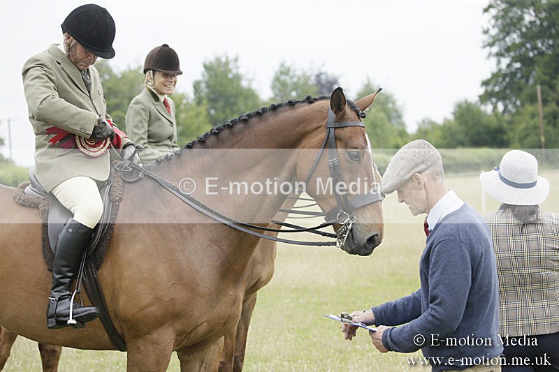 B230619-0958 - Bourne Valley Riding Club Summer Show 23/06/19