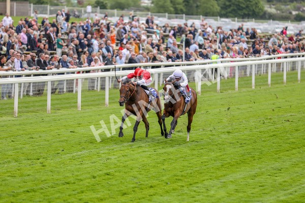 180523-Race 2-Free Wind-7278 - Race 2 2.25pm Al Basti Equiworld Dubai Middleton Fillies' Stakes