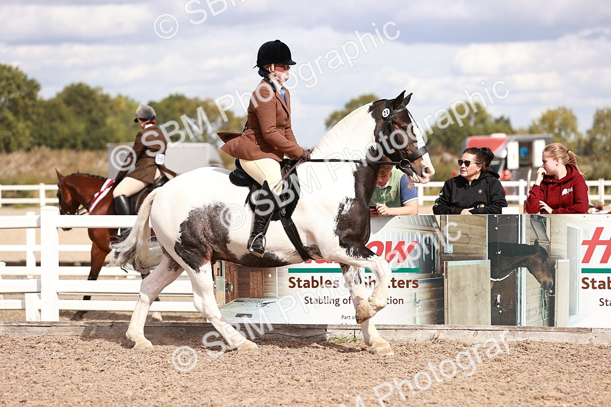 SBM_14431 - Class 410 - Grassroots Ridden - Horse