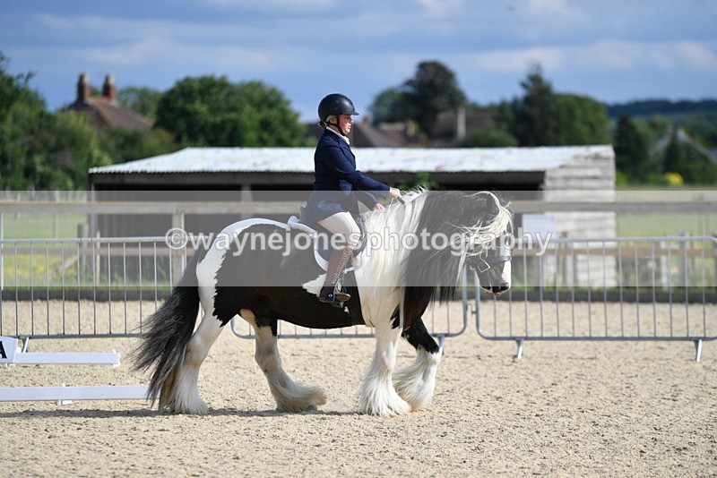 WJ5_7743 - Time 16:40 to 16:55