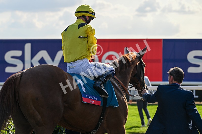 220826-Race 7-Raammee-1766 - Race 7 17.20pm Sky Bet Dav Reid Finale Handicap