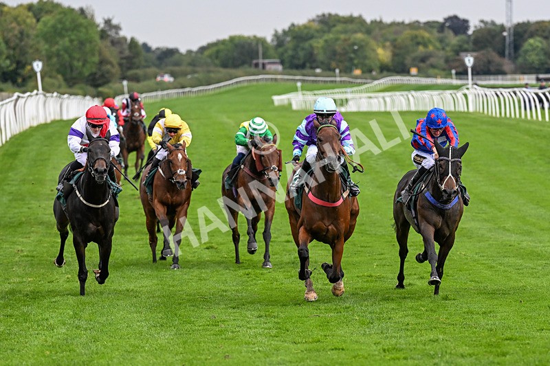 011025-Race 5-Blue Jay Way-0471 - Race 5