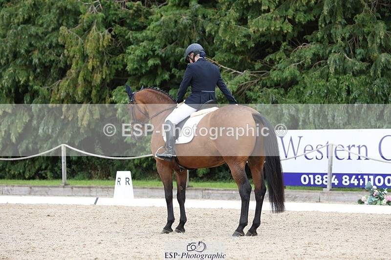 230812-150600-05052 - Cls 5 Novice Bronze 15.00 to End