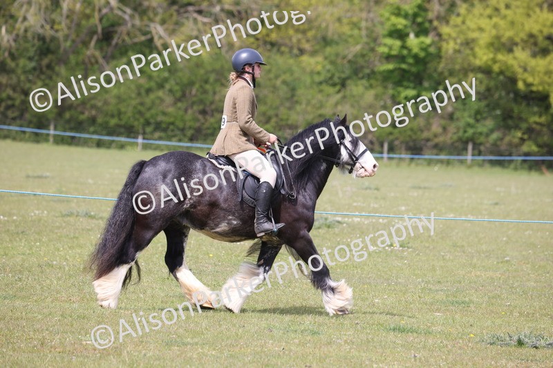 20260426-4039 - Class 33 - Best Pony 14.2hh and Under