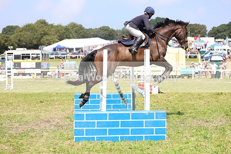 3E7A2958 - Class 7: Senior British Novice/90cm open