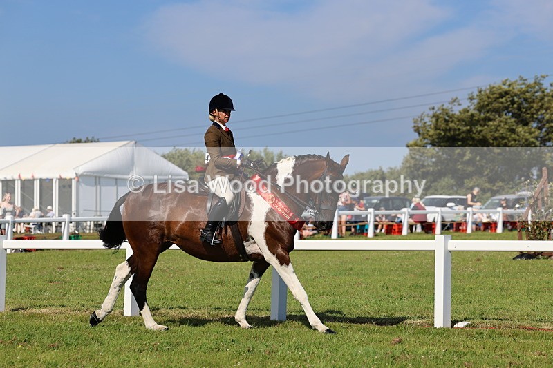 IMG_1686 - Skewbald and Piebald Ridden Championship