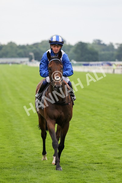 yr20082021r4-17 - Race 4 3.35pm Coolmore Wootton Bassett Nunthorpe Stakes (British Champions Series Race)